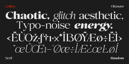 Colitez Serif Font Poster 7