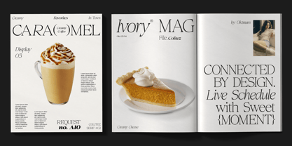 Colitez Serif Font Poster 6