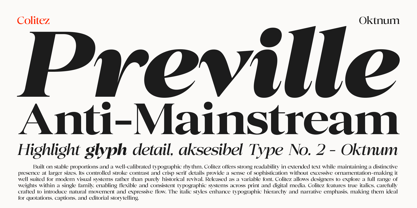Colitez Serif Font Poster 2