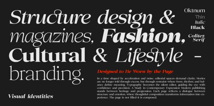 Colitez Serif Font Poster 5