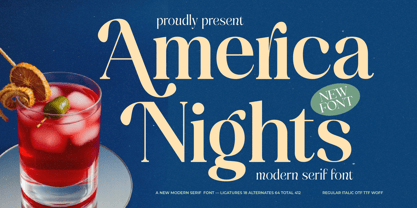 America Nights Font Poster 1
