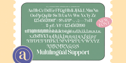 America Nights Font Poster 14