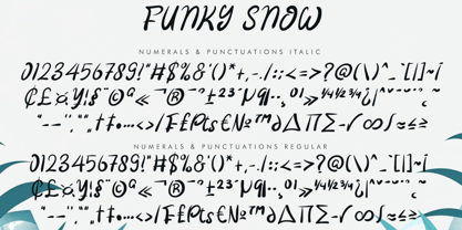 Funky Snow Italic Font Poster 6