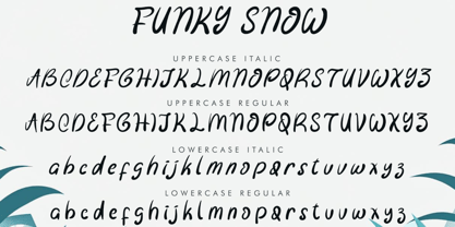 Funky Snow Italic Font Poster 5