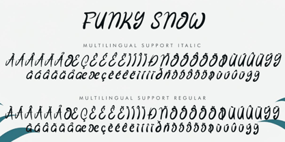 Funky Snow Italic Font Poster 7