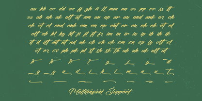 Amigdal Font Font Poster 15