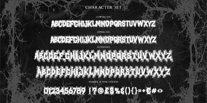Night Roots Font Poster 5
