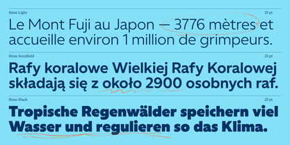 Rime Font Poster 11
