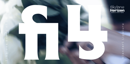 Skylane Horizon Font Poster 9
