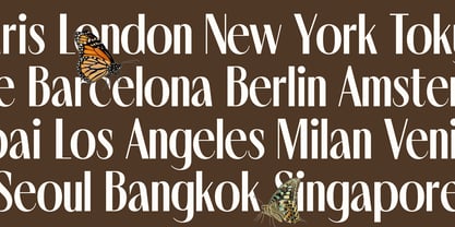 Noserta Font Poster 11