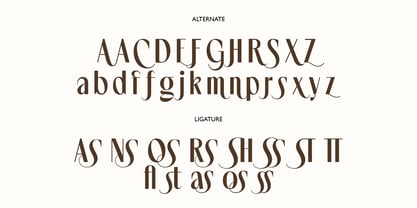 Noserta Font Poster 13