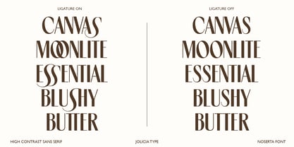 Noserta Font Poster 4