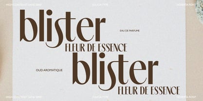 Noserta Font Poster 10