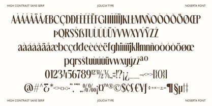 Noserta Font Poster 12