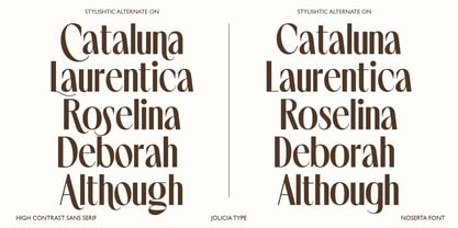 Noserta Font Poster 9
