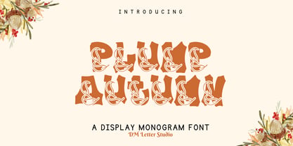 Plump Autumn Font Poster 1