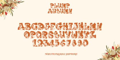Plump Autumn Font Poster 9