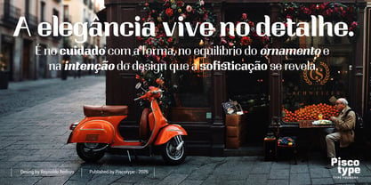 Ornamenta Font Poster 11