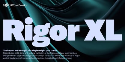 Rigor XL Font Poster 1