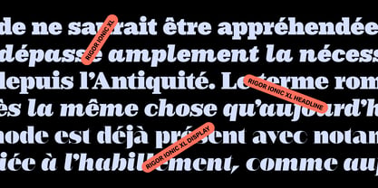 Rigor XL Font Poster 4