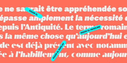 Rigor XL Font Poster 3
