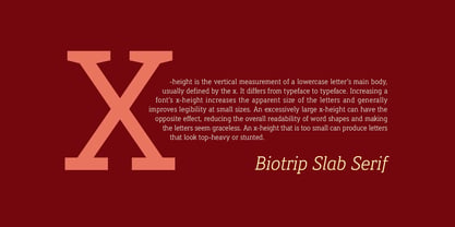 Biotrip Serif Font Poster 12