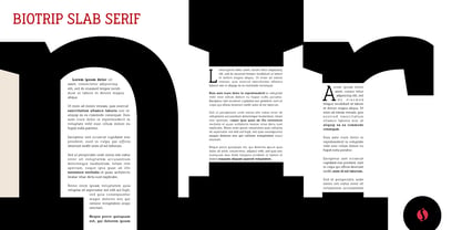 Biotrip Serif Font Poster 6