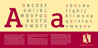 Biotrip Serif Font Poster 2