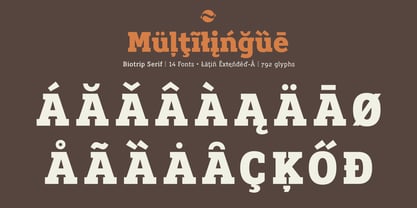 Biotrip Serif Font Poster 4