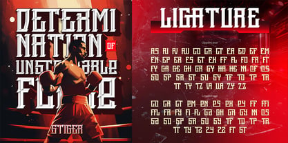 Stiger Font Poster 7