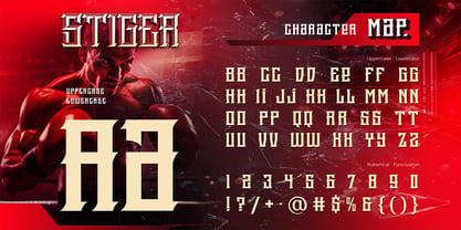 Stiger Font Poster 2