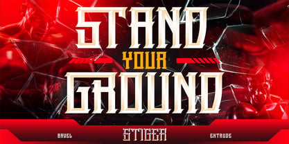 Stiger Font Poster 11