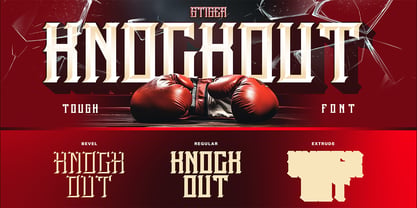 Stiger Font Poster 8