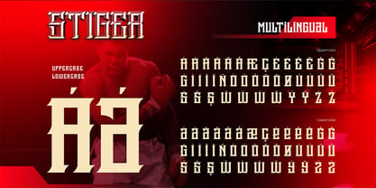 Stiger Font Poster 10