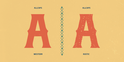 Regalion Rustic Font Poster 5