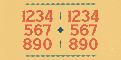 Regalion Rustic Font Poster 11