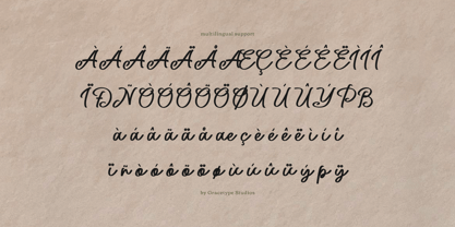 Northwick Cursive Font Poster 11