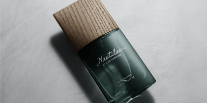 Northwick Cursive Font Poster 7