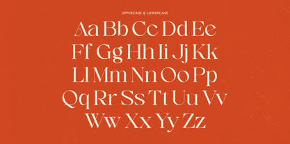 Enikra Font Poster 8