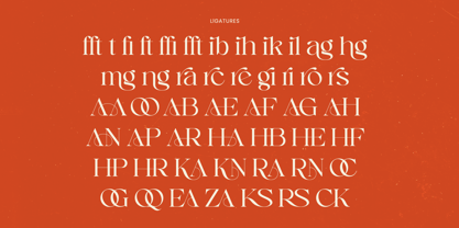 Enikra Font Poster 9