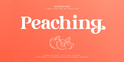 Peaching Font Poster 1