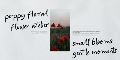 Ferdan Ligate Font Poster 2