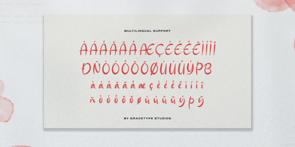 Ferdan Ligate Font Poster 11