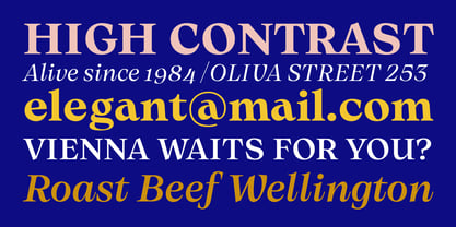 Olin Font Poster 1