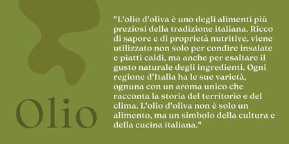 Olin Font Poster 11