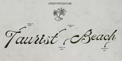Mellosta Font Poster 3