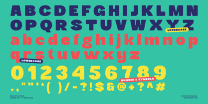 Buchi Sans Font Poster 10