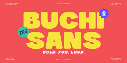 Buchi Sans Font Poster 1