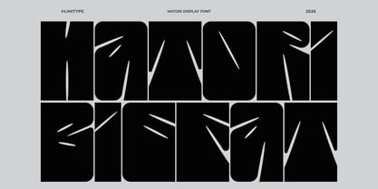 Hatori Font Poster 1