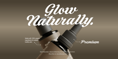 Latenza Script Font Poster 6